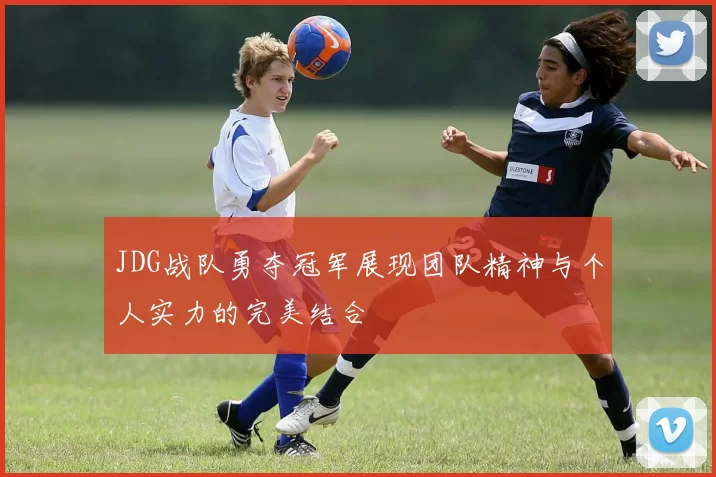 JDG战队勇夺冠军展现团队精神与个人实力的完美结合