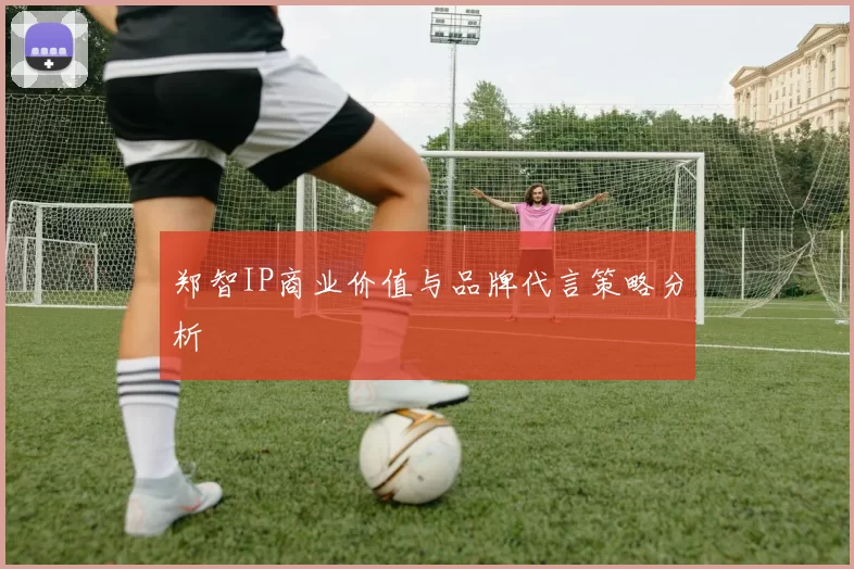 郑智IP商业价值与品牌代言策略分析