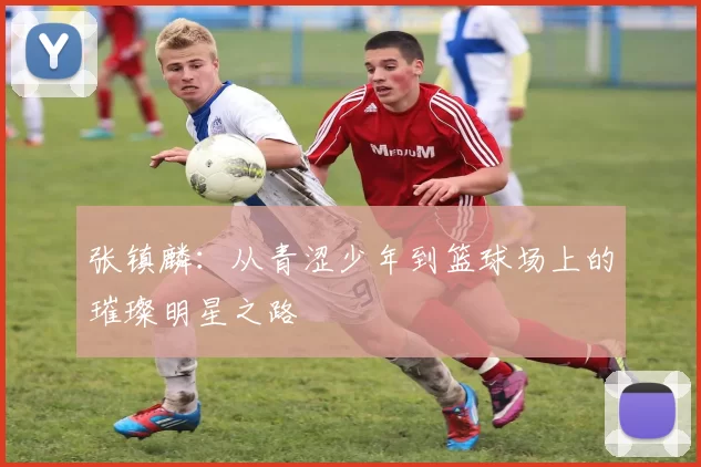 张镇麟：从青涩少年到篮球场上的璀璨明星之路