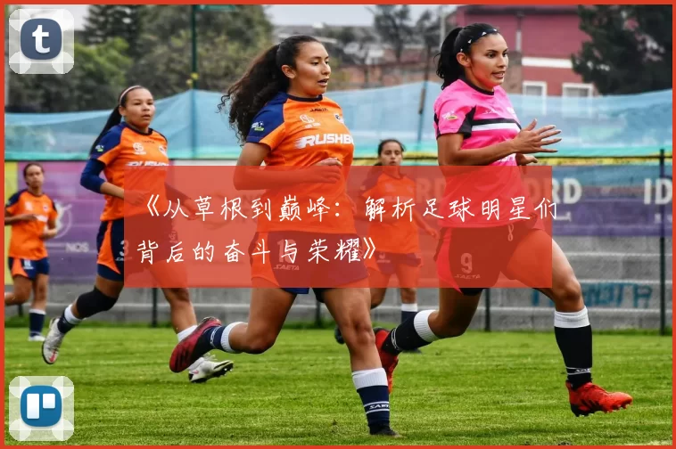 《从草根到巅峰：解析足球明星们背后的奋斗与荣耀》